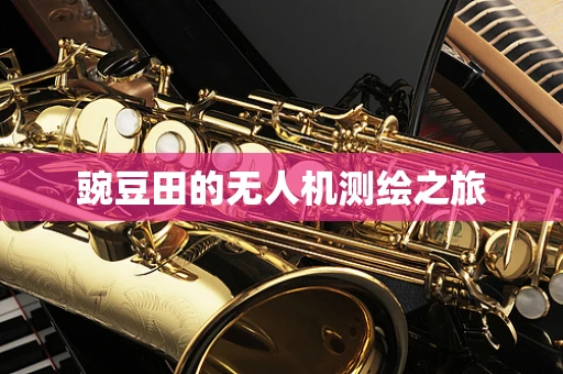 豌豆田的无人机测绘之旅