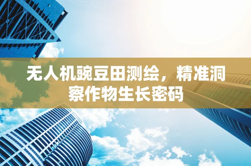 无人机豌豆田测绘，精准洞察作物生长密码