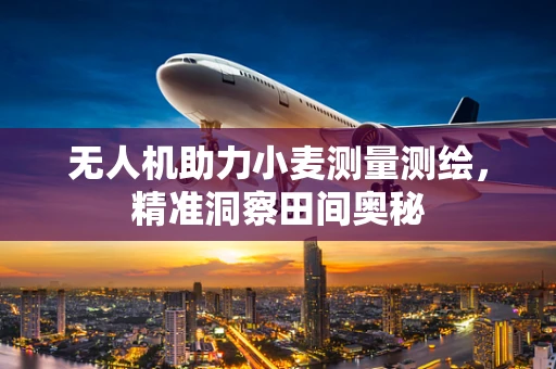 无人机助力小麦测量测绘，精准洞察田间奥秘