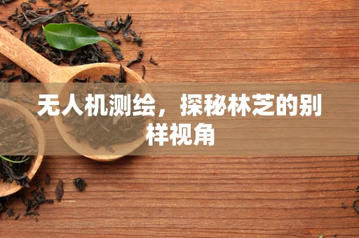 无人机测绘，探秘林芝的别样视角