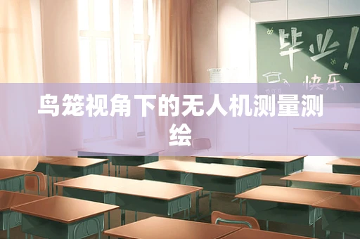 鸟笼视角下的无人机测量测绘