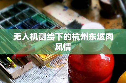 无人机测绘下的杭州东坡肉风情