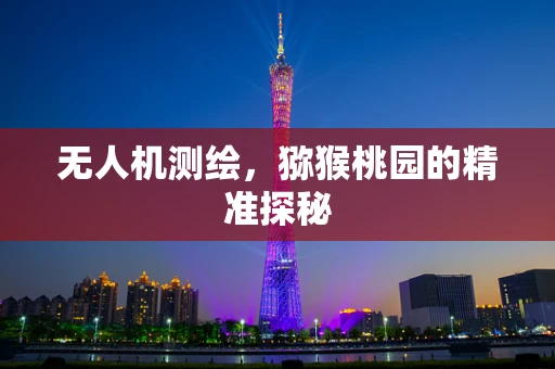 无人机测绘，猕猴桃园的精准探秘
