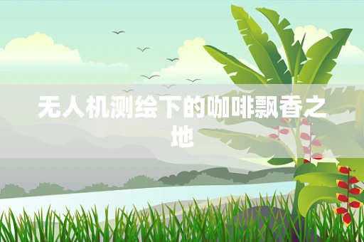无人机测绘下的咖啡飘香之地