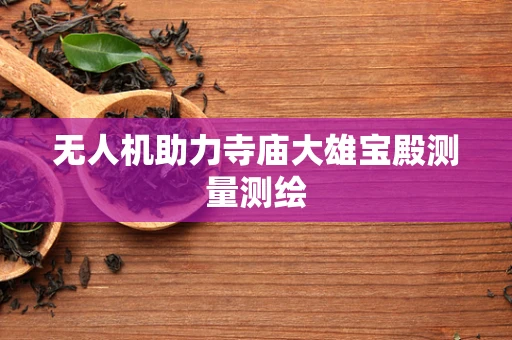 无人机助力寺庙大雄宝殿测量测绘