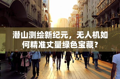 潜山测绘新纪元，无人机如何精准丈量绿色宝藏？