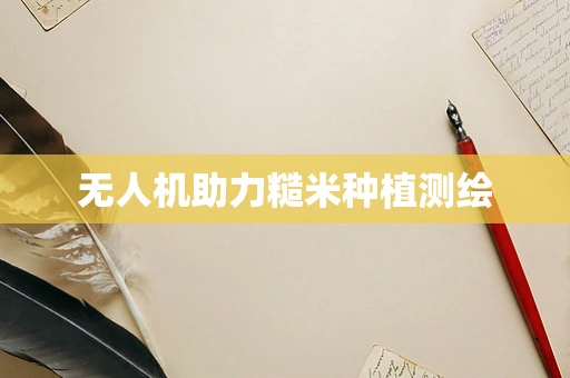 无人机助力糙米种植测绘