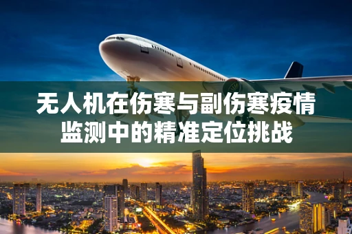 无人机在伤寒与副伤寒疫情监测中的精准定位挑战
