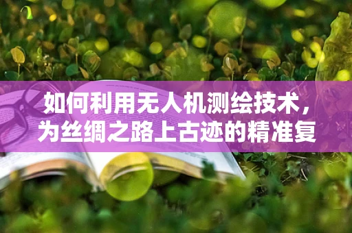 如何利用无人机测绘技术，为丝绸之路上古迹的精准复原提供支持？