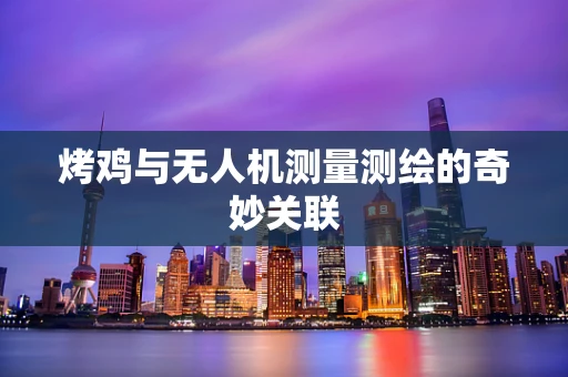 烤鸡与无人机测量测绘的奇妙关联