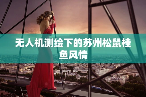 无人机测绘下的苏州松鼠桂鱼风情