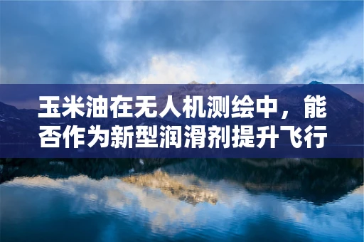 玉米油在无人机测绘中，能否作为新型润滑剂提升飞行性能？