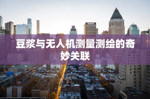 豆浆与无人机测量测绘的奇妙关联