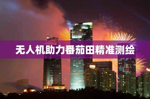 无人机助力番茄田精准测绘
