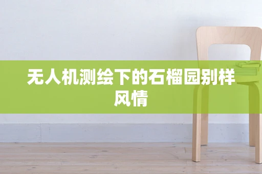 无人机测绘下的石榴园别样风情