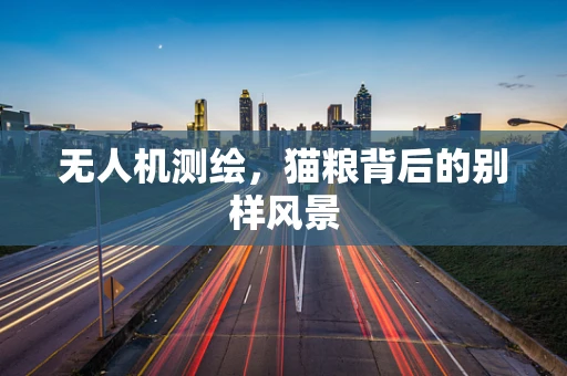 无人机测绘，猫粮背后的别样风景