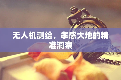无人机测绘，孝感大地的精准洞察