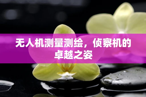 无人机测量测绘，侦察机的卓越之姿