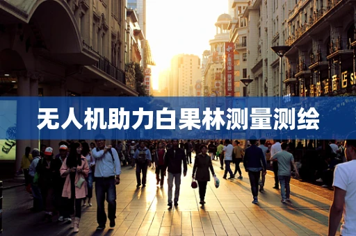 无人机助力白果林测量测绘