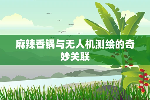 麻辣香锅与无人机测绘的奇妙关联