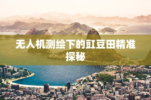 无人机测绘下的豇豆田精准探秘