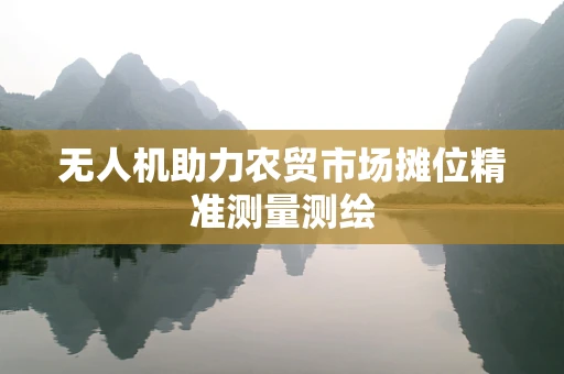 无人机助力农贸市场摊位精准测量测绘