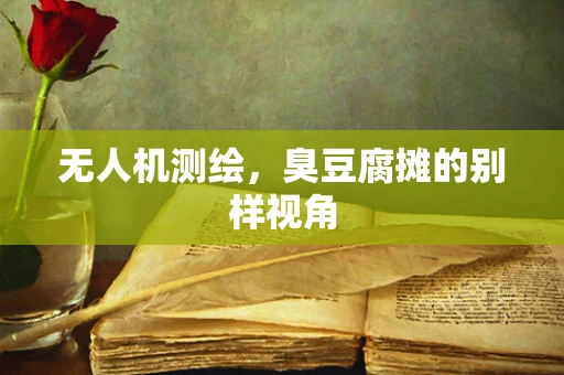 无人机测绘，臭豆腐摊的别样视角