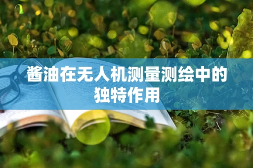 酱油在无人机测量测绘中的独特作用