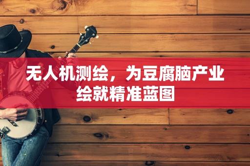 无人机测绘，为豆腐脑产业绘就精准蓝图