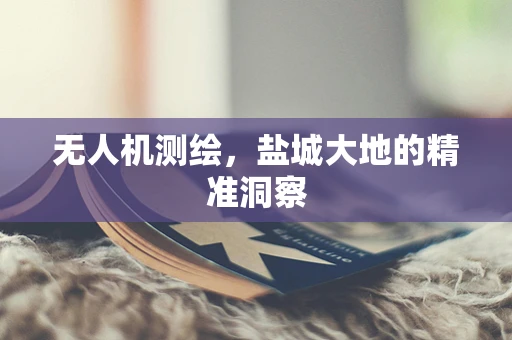 无人机测绘，盐城大地的精准洞察
