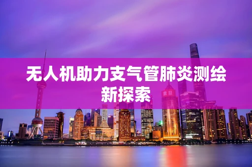 无人机助力支气管肺炎测绘新探索