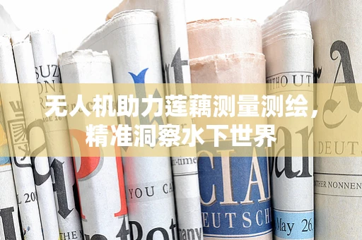 无人机助力莲藕测量测绘，精准洞察水下世界