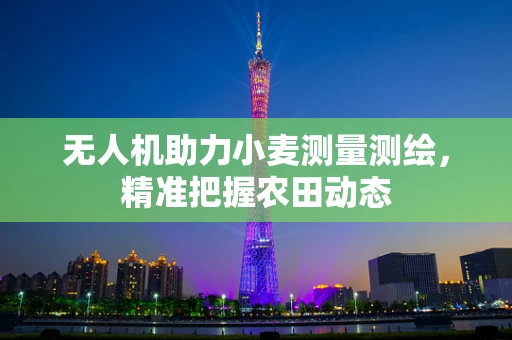 无人机助力小麦测量测绘，精准把握农田动态