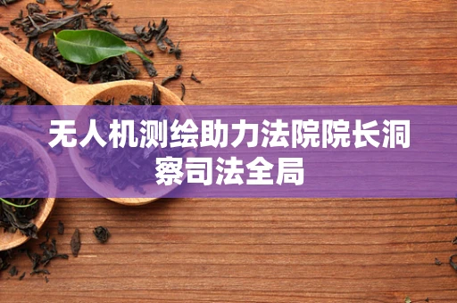 无人机测绘助力法院院长洞察司法全局