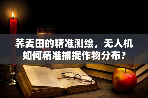 荞麦田的精准测绘，无人机如何精准捕捉作物分布？