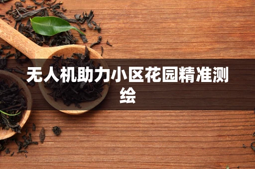 无人机助力小区花园精准测绘