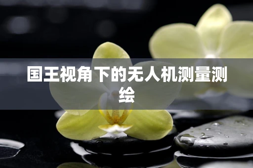 国王视角下的无人机测量测绘