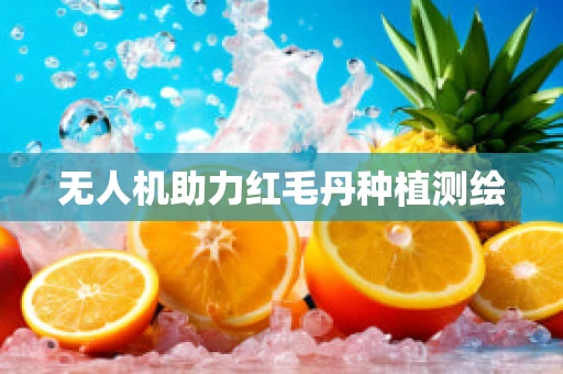 无人机助力红毛丹种植测绘