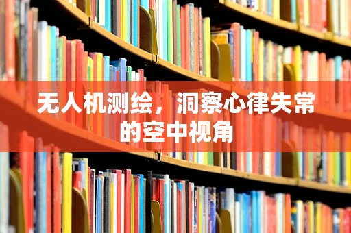 无人机测绘，洞察心律失常的空中视角