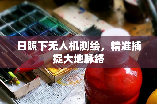 日照下无人机测绘，精准捕捉大地脉络