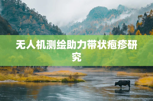 无人机测绘助力带状疱疹研究