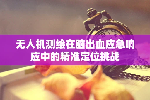 无人机测绘在脑出血应急响应中的精准定位挑战