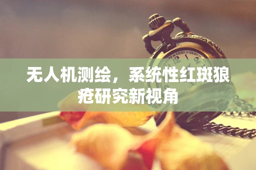 无人机测绘，系统性红斑狼疮研究新视角