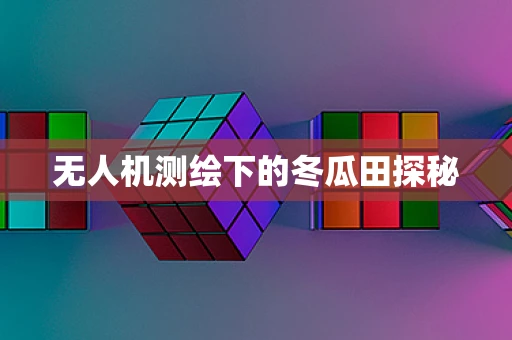 无人机测绘下的冬瓜田探秘