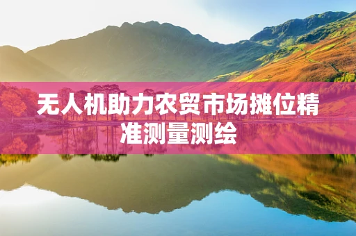 无人机助力农贸市场摊位精准测量测绘