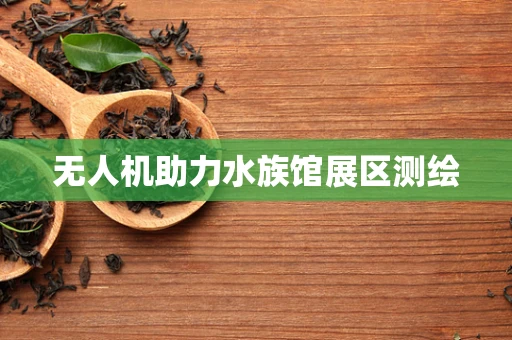 无人机助力水族馆展区测绘