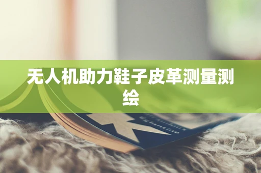无人机助力鞋子皮革测量测绘