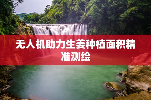 无人机助力生姜种植面积精准测绘
