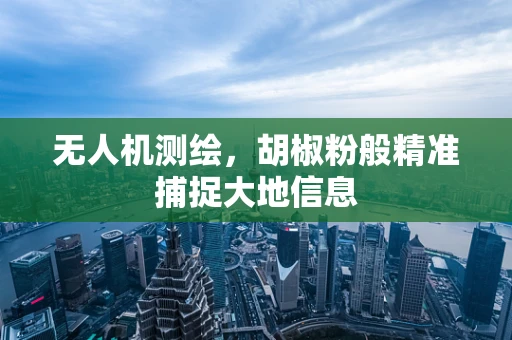 无人机测绘，胡椒粉般精准捕捉大地信息