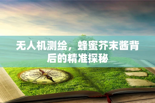 无人机测绘，蜂蜜芥末酱背后的精准探秘